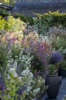 Cottage garden border, with paved modern patio at the bottom, red and white Valerian self seeding through the border and a Cardoon at the back