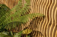 Sustainably sourced oak fence with Dicksonia antarctica - Australian tree fern 