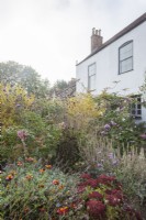 Period house and garden in autumn. Part of a sequence comparing the same scene in all 4 seasons. Borders have Tagetes 'Cinnabar', Sedum 'Autumn Joy' and Verbena bonariensis.
