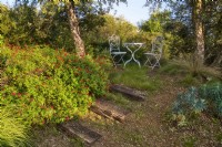 Mediterranean garden view with mass planting of drought tolerant plants, bushes and trees as grass, Salvia greggii 'Royal Bumble' or Baby Sage is on the left and decorative elements as wooden stairs and romantic setting with table and chairs. 

Italy, Tuscan Maremma, Orbetello
Autumn season, October
