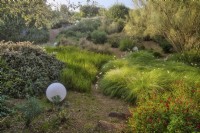 Mediterranean garden view with grassland and mass planting of drought tolerant plants, bushes and trees.
Pennisetum villosum grass, rosmarinus officinalis on the left, Salvia greggii 'Royal Bumble' is on foreground and decorative elements - the white balls. 

Italy, Tuscan Maremma, Orbetello
Autumn season, October
