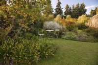 Mediterranean garden view with mass planting of drought tolerant plants, bushes and trees, the lawn with Ground cover of Lippia nodiflora var. canescens and romantic setting with table and chairs. 

Italy, Tuscan Maremma, Orbetello
Autumn season, October
