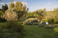 Mediterranean garden view with mass planting of drought tolerant plants, bushes and trees, the lawn with Ground cover of Lippia nodiflora var. canescens, different species of Lavandula, Hypericum balearicum on foreground and decorative elements as white balls.

Italy, Tuscan Maremma, Orbetello
Autumn season, October
