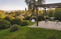 Mediterranean garden view to drought tolerant round shaped topiary with different colored species with central Quercus suber or Cork Oak tree and wooden gazebo with table and chairs setup. 
Italy, Tuscan Maremma, Orbetello
Autumn season, October
