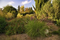 Mediterranean garden view with grassland and mass planting of drought tolerant plants, bushes and trees, grass as Pennisetum Setaceum or Fountain Grass, behind is Salvia greggii 'Royal Bumble' and decorative elements - the white ball. 

Italy, Tuscan Maremma, Orbetello
Autumn season, October
