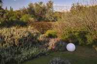 Mediterranean garden view with mass planting of drought tolerant plants, bushes and trees, the lawn with Ground cover of Lippia nodiflora var. canescens, different species of Lavandula or Lavender and decorative elements as white balls. 
Italy, Tuscan Maremma, Orbetello
Autumn season, October
