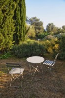 Mediterranean garden view with mass planting of drought tolerant plants, bushes and trees as Ephedra sinica, Cupressus Sempervirens or Italian-Cypress and romantic setting with table and chairs. 
Italy, Tuscan Maremma, Orbetello
Autumn season, October
