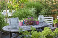 Dining table with metal pots of succulents and central bowl planted with pink Delosperma cooperi.