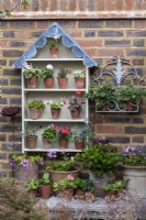 A handbuilt plant theatre with a scalloped lead roof is used to display dwarf pelargoniums.