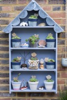 A handbuilt, seaside themed plant theatre with a scalloped lead roof is used to display different cultivars of Sempervivum succulents. Left to right: Bottom row: S. 'Silberspitze', S. 'Limelight' and S. arachnoideum bryoides. First row: S. 'Heigham Red'. S. 'Sir William Lawrence' and S. ruthenicum. Second row: S. 'Sprite', Midas' and 'Pekinese'. Top: S. arachnoideum ssp. tomentosum 'Stansfieldii'.