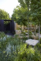 America's Wild garden. Designers: Emily Grayshaw, Imogen Perreau and Jude Yeo - Inspired Earth Design -  RHS Hampton Court Palace Garden Festival 2023. Shady woodland planting. Waterfall in background. Summer.