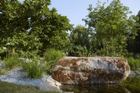 Hurtigruten: The Relation-Ship Garden. Designer: Max Parker-Smith. Hampton Court Garden Festival 2023. Calycanthus 'Aphrodite' by waters edge with large boulder immersed in the water. Summer.