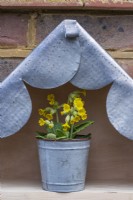 A cowslip, Primula veris, sits beneath a lead roof in the apex of a plant theatre.