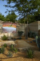 America's Wild garden. RHS Hampton Court Palace Garden Festival 2023. LED screen in the desert area showing the same wild area in the USA. Agavae and cacti in dry garden.