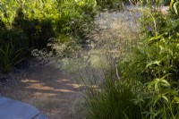 Deschampsia 'Bronzeschleier' catching sunlight, bordering 'natural' pathway. Summer.