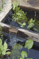 Metal water spout on reclaimed wooden troughs. Aquatic planting. Summer. 