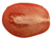 Solanum lycopersicum  'Roma VF'  Plum tomatoes  Picked fruit cut open  Syn. Lycopersicon esculentum  August