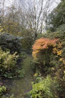 A moss covered path leads through various shrubs and trees with autumn foliage and colour. The Garden House, Yelverton. Autumn, November