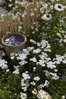 The Lunar Garden Designer: Queenie Chan. Low Bamboo fence with Echinacea purpurea 'White Swan' and Achillea millefolium 'White Beauty'. Summer.