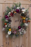 A Gardener's Garland wreath is created on a woven willow base covered in spruce foliage interspersed with dried lavender and ornamental grasses. It is then decorated with dried chilli peppers, miniature pumpkins, fircones, everlasting flowers and the seedheads of allium, poppies, nigella