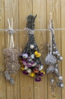 Picked from the garden and hung to dry are bunches of everlasting flowers and the seedheads of nigella and allium.