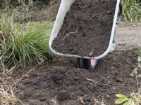 Conditioning the soil of a plant bed with well rotted compost using a wheelbarrow