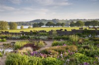 View over the gravel garden towards Blagdon Lake with cows grazing in field 