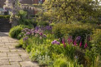 Stone paving path leading to steps with wooden arbour and Wisteria, flower borders planted with Alliums, Aquilegia and Gladiolus communis with ornamental grasses