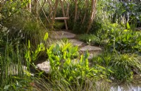 Stepping stones leading to a geodesic structure with a swing seat - pond with aquatic and marginal mixed planting - Thalia Dealbata, Sagittaria latifolia, Equisetum hyemale - rough horsetail