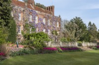 Pashley Manor, a fine sixteenth century building. Beds below the terrace are massed planted with tulips (left to right) 'Dreamland', 'Barcelona', and 'Negrita'.