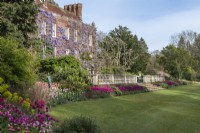 Pashley Manor, a fine sixteenth century building. Beds below the terrace are mass planted with tulips (left to right) 'Dreamland', 'Barcelona', and 'Negrita'.