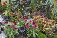 'Hot' perennials in mixed border in the 'In Memento' garden at BBC Gardener's World Live 2021