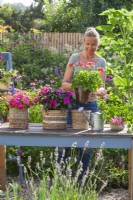 Woman is placing pot grown Pelargonium in decorative container made of paper rope.
