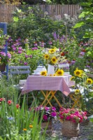 Table with summer bouquet of sunflowers, verbena and wild flowers in enamel jug on gravel patio. Containers with Impatiens.