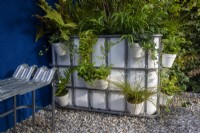 Repurposed upcycled industrial IBC - intermediate bulk container - to create a modern contemporary garden - gravel surface patio with bench seat - planting of Dryopteris erythrosora, Carex testacea 'Praire Fire', Asplenium scolopendrium
