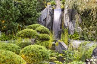 Pinus cembra trees next to a waterfall cascading over large rocks into a pond with marginal aquatic plants and cloud-pruned Pinus mugo 'Gnom'