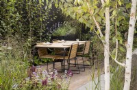 A reused timber floor patio area next to clay brick pavers - outdoor dining table and chairs in courtyard with black wooden fence - Betula pendula - silver birch tree - ornamental grasses and Caryopteris clandonensis 'Heavenly Blue' and Salvia nemorosa 'Schwellenburg' - meadow sage in the foreground