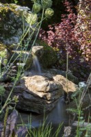 Waterfall over mossy rocks with Berberis plant 