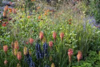 Kniphofia metal flower sculpture with ornamental grasses of Pennisetum alopecuroides and Melica altissima