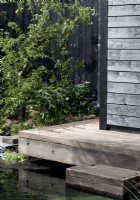 Timber frame wooden deck with steps leading down to a plunge pool - a black painted fence with Malus domestica - Apple tree underplanted with sedums