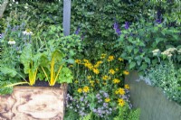Raised bed containers with mixed panting of herbs, vegetables and flowers - Left-hand box has mixed edibles including yellow chard and flowers. Right-hand trough, perennials flowers including Achillea and Salvia. On the ground, Rudbeckia fulgida var. Deamii with asters and ferns

