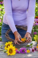 Woman making wreath of summer flowers including pot marigold, fennel, coneflower, bergamot and others.