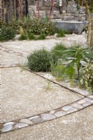A gravel and crushed shell path in a drought tolerant Mediterranean garden - RHS Malvern Spring Festival - The Home away Garden designed by Emily Crowley-Wroe