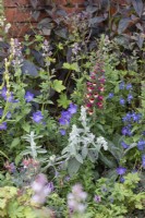 Antirrhinums and wildflowers in the 'Canal and River Trust Garden - Making Life Better by Water' at BBC Gardeners World Live 2019, June