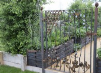 A decorative wrought iron metal gate leading into a vegetable garden with raised bed containers and a gravel path