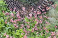 Geum 'Pink Petticoats' growing in front of a rusty garden sculpture made from reclaimed, recycled materials with spaces made for an insect hotel