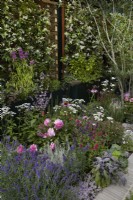 Landform Mental Wealth Garden. Designer: Nicola Hale. Planting with aromatherapy and pollinators in mind. The plants include Rosa 'Princess Alexandra of Kent', lavender, echinacea, achillea and salvias. Summer.