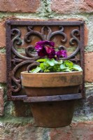 A decorative metal frame holds a terracotta pot planted with purple pansy on an old brick wall.