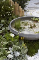 The Lunar Garden Designer: Queenie Chan. Grey stone bowl in white and circles themed garden. Summer.
