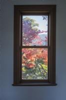 View through window into the garden. 